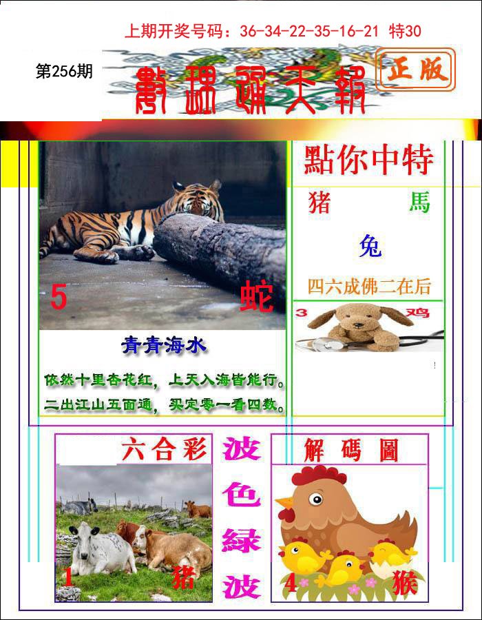 2024256期数理通天