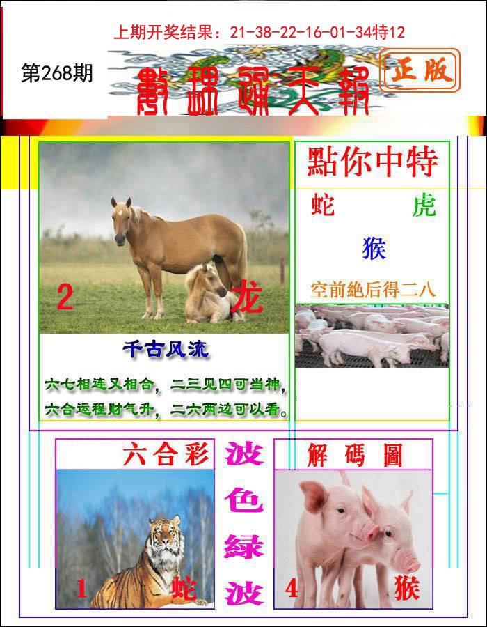 2024268期数理通天