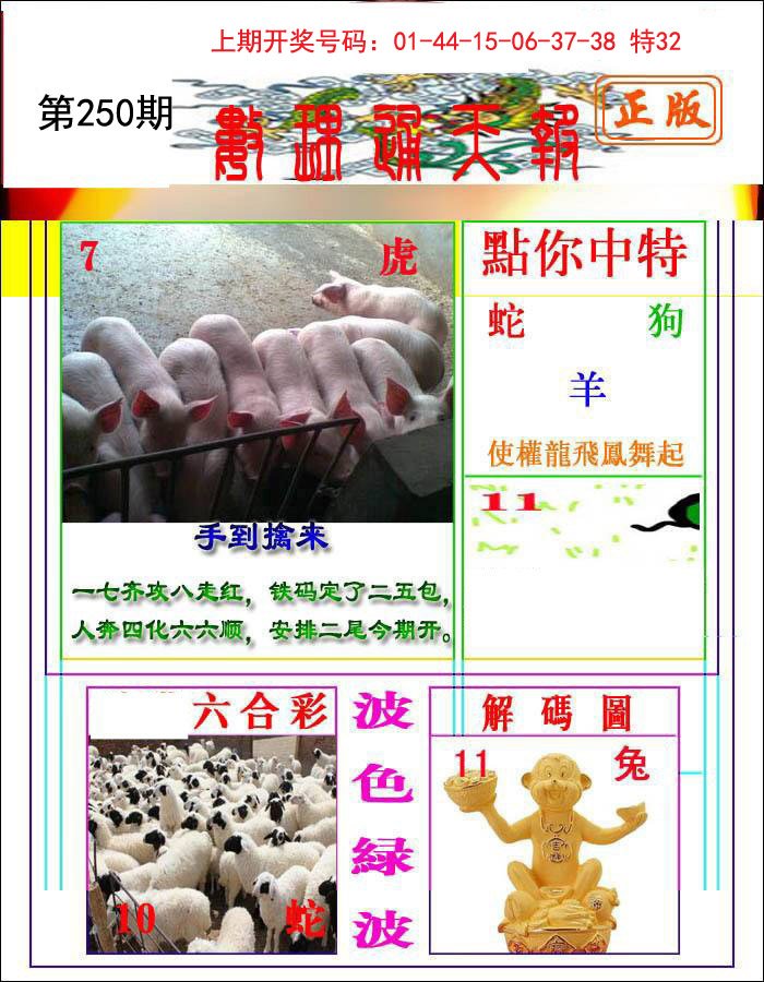 2024250期数理通天