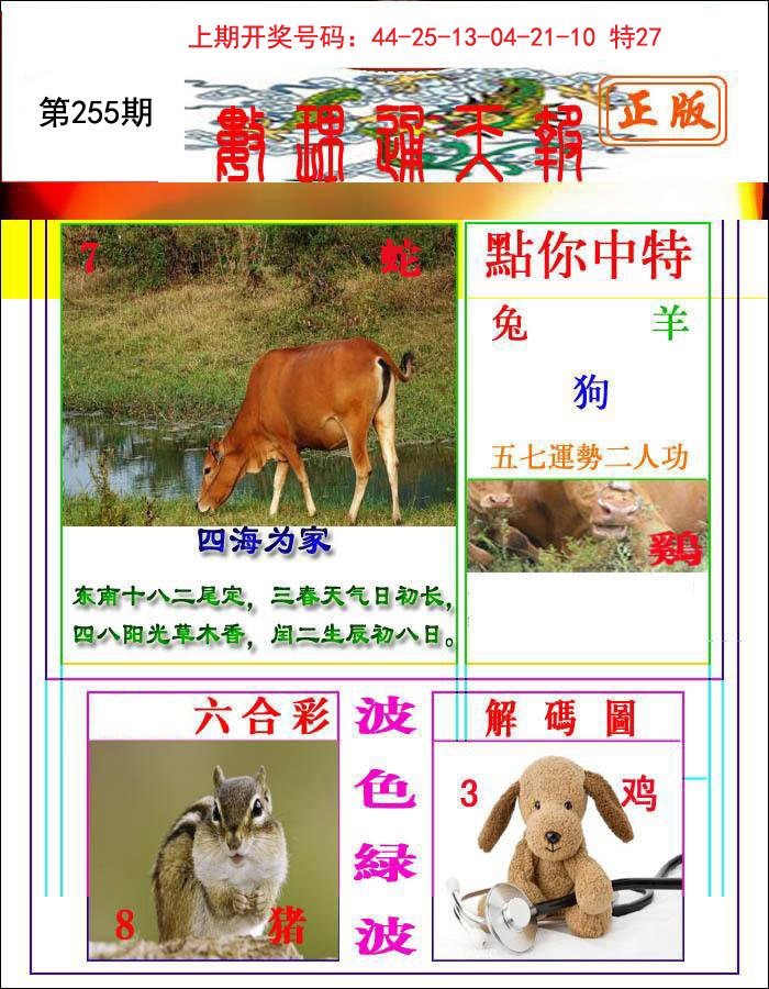 2024255期数理通天