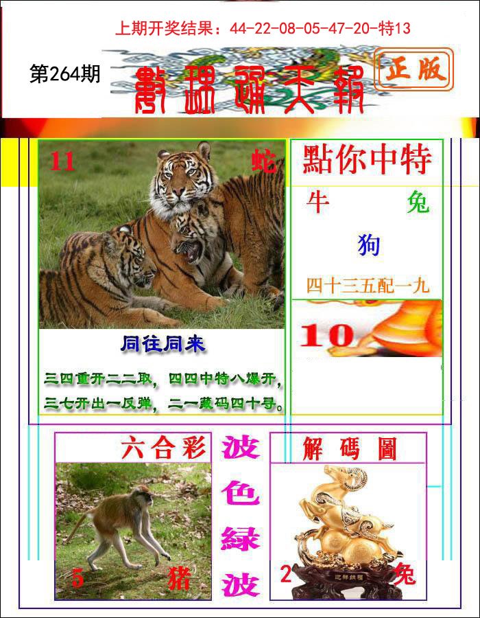 2024264期数理通天