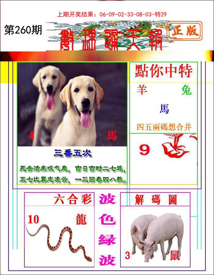 2024260期数理通天