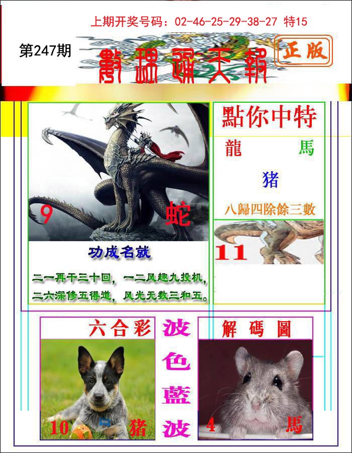 2024247期数理通天