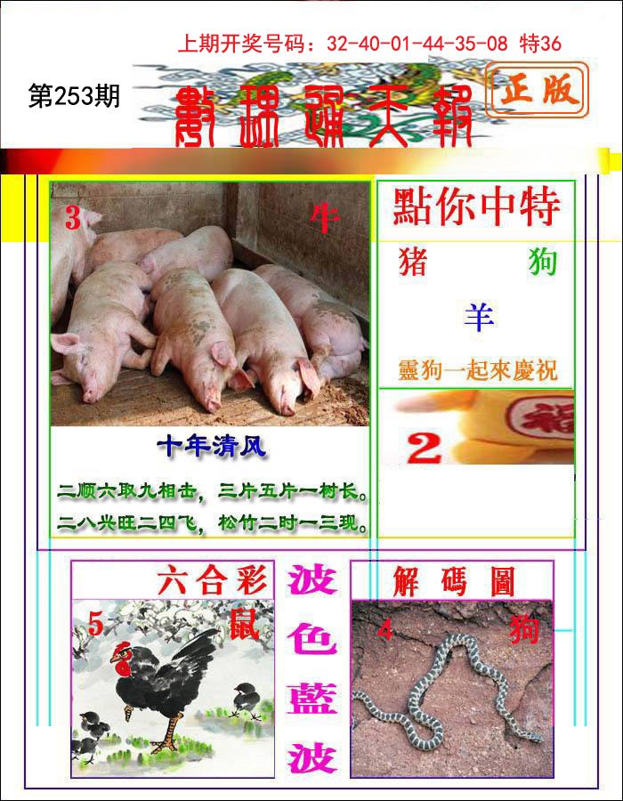 2024253期数理通天