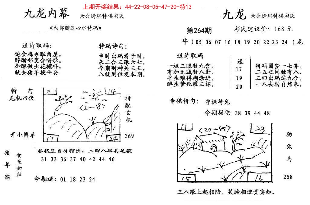 2024264期九龙内幕