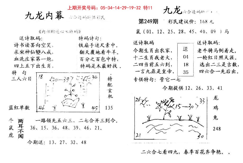 2024249期九龙内幕