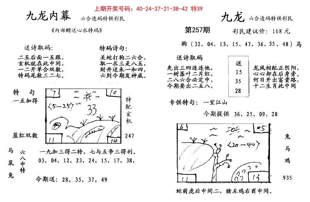 2024257期九龙内幕