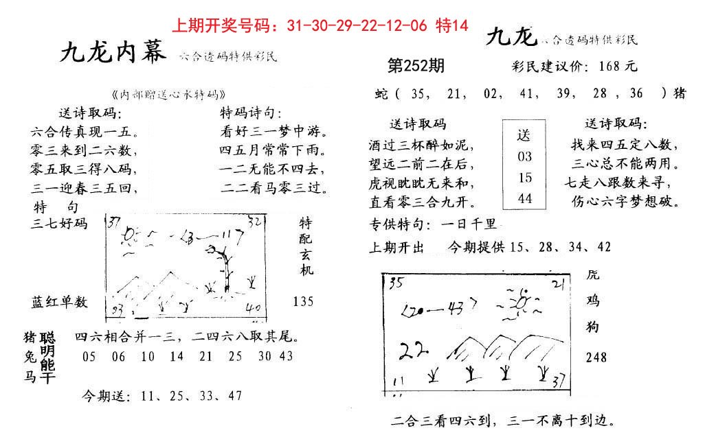 2024252期九龙内幕