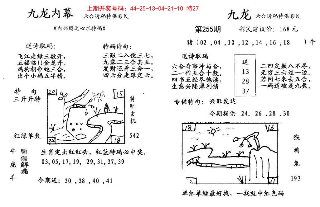 2024255期九龙内幕