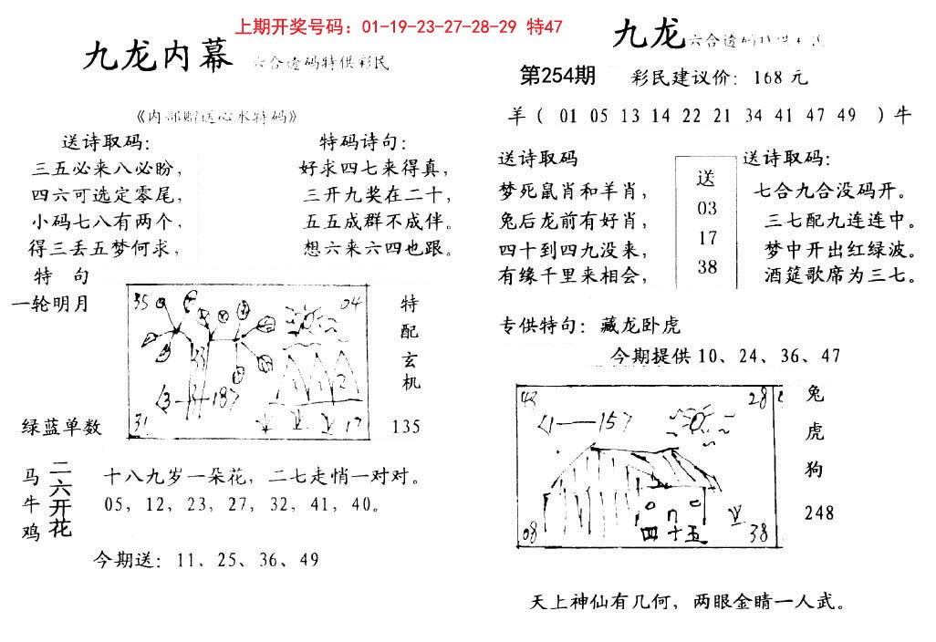 2024254期九龙内幕