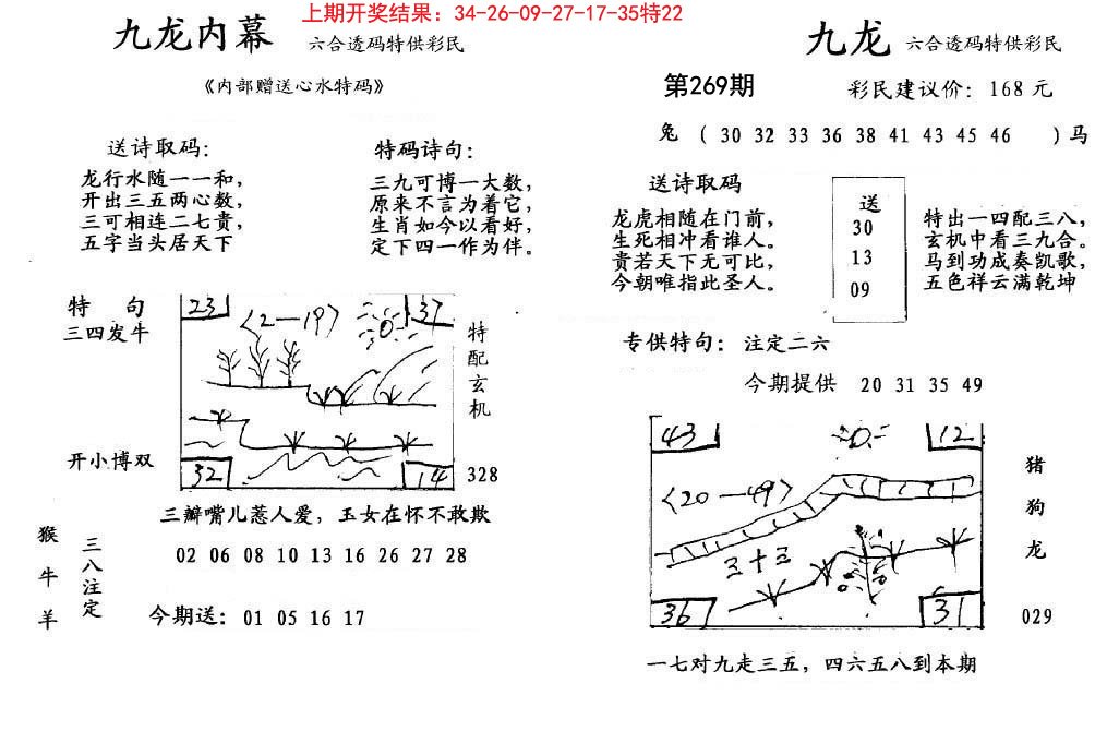 2024269期九龙内幕