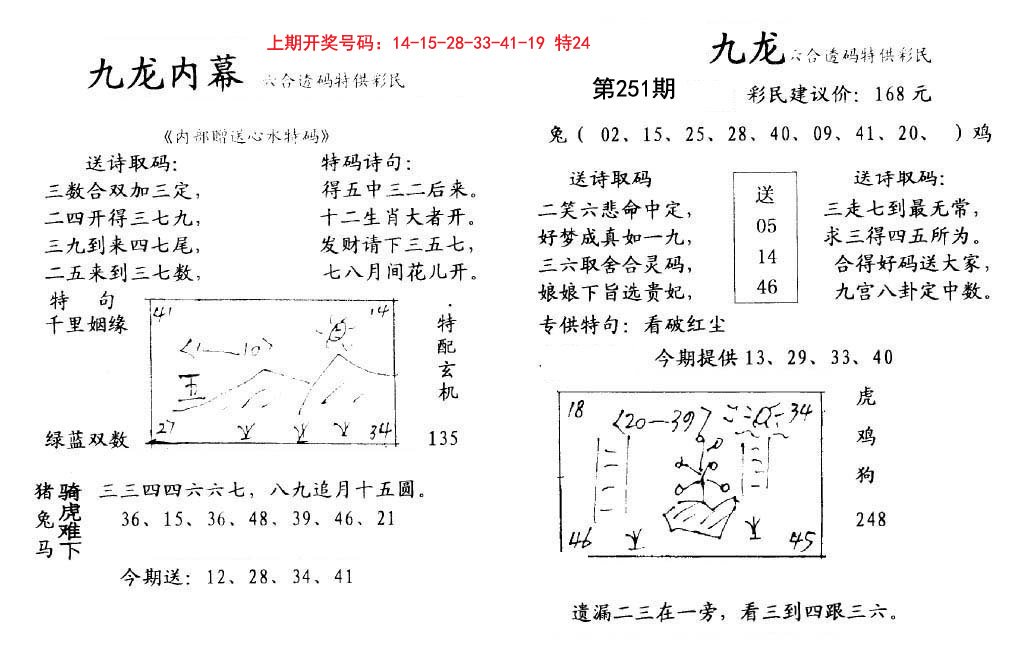 2024251期九龙内幕