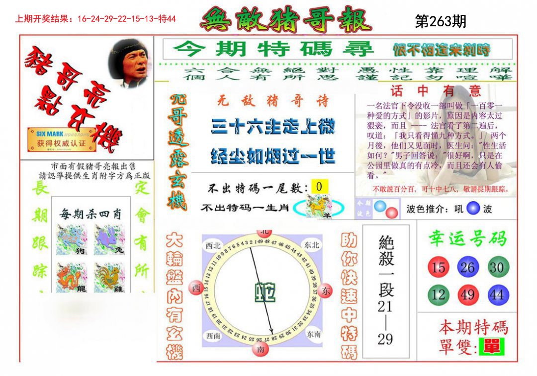 2024263期无敌猪哥