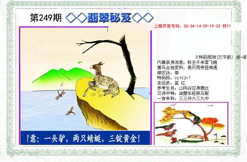 2024249期另翡翠秘笈