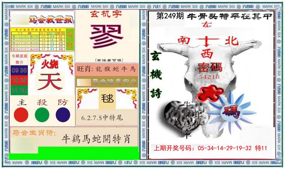 2024249期六合救世报+牛头报
