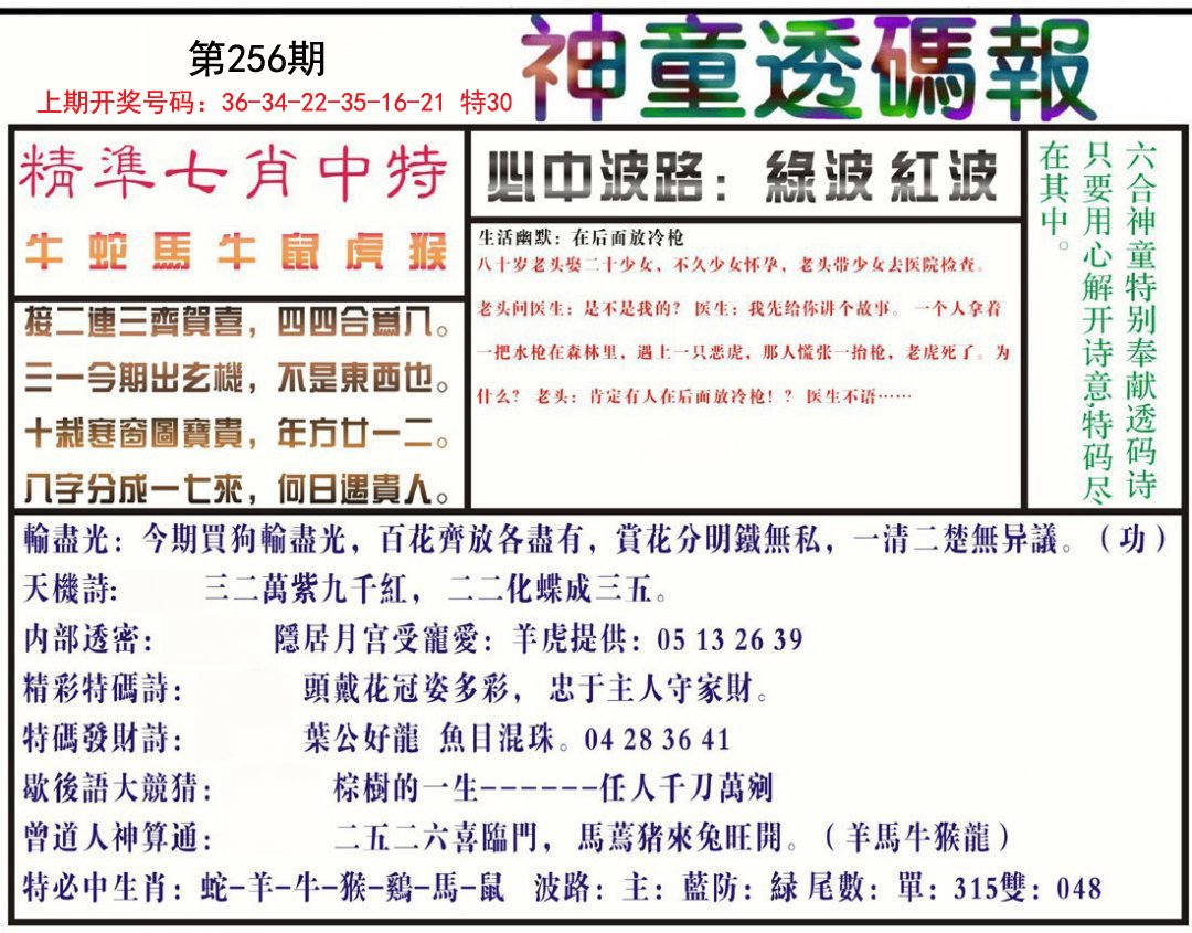 2024256期神童透码报