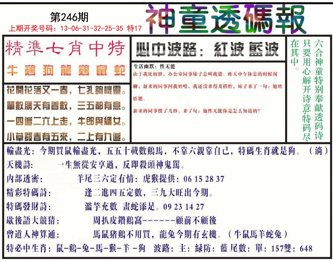 2024246期神童透码报