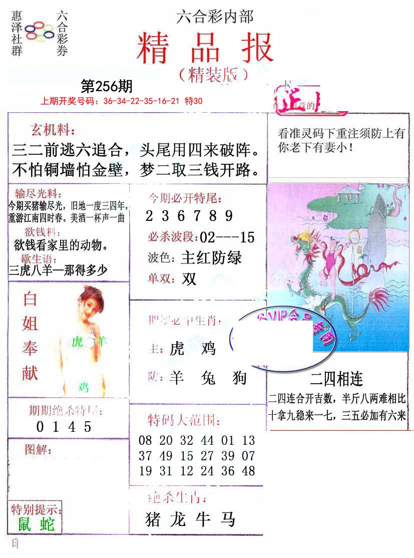 2024256期摇钱树