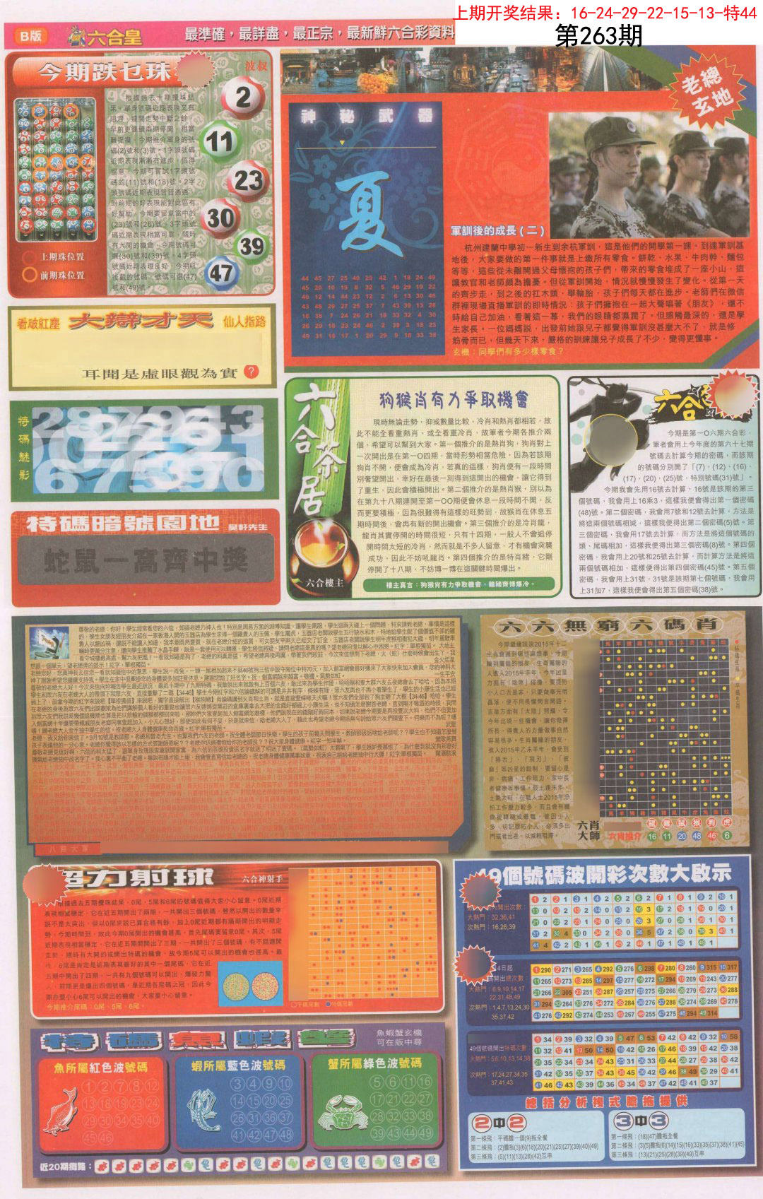 2024263期六合皇D
