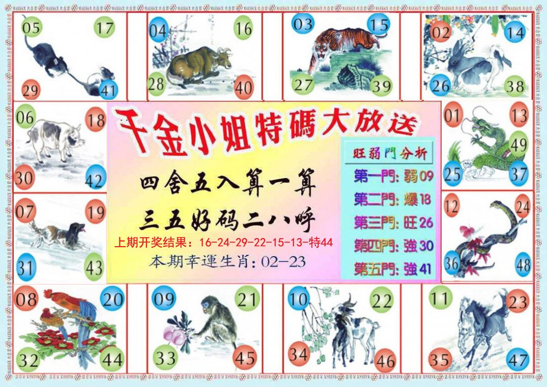 2024263期千金小姐B版