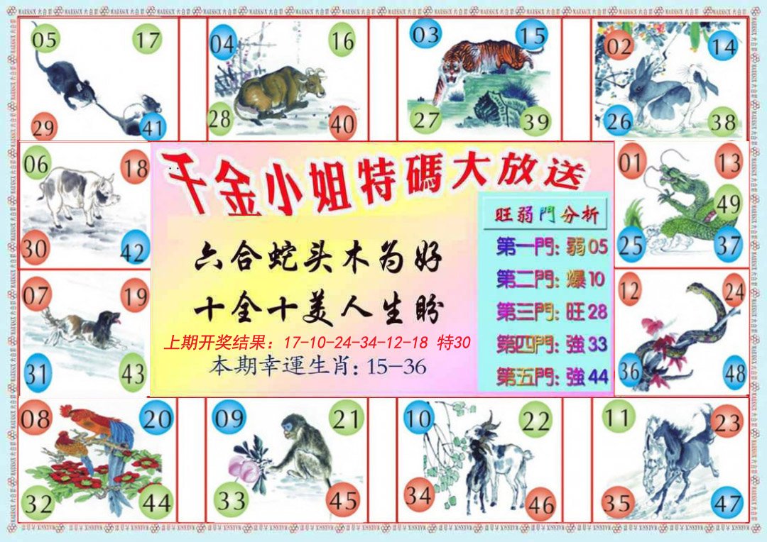 2024273期千金小姐B版