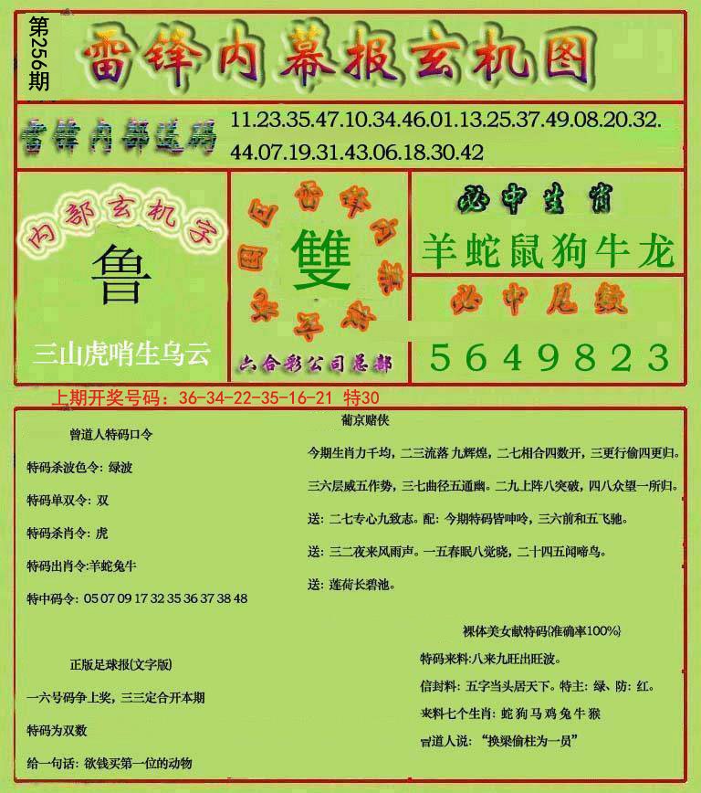 2024256期雷锋玄机报