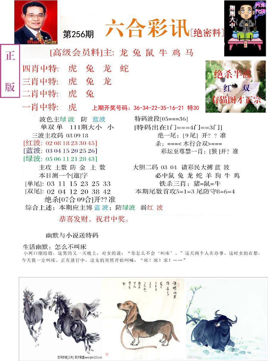 2024256期六合彩讯-2