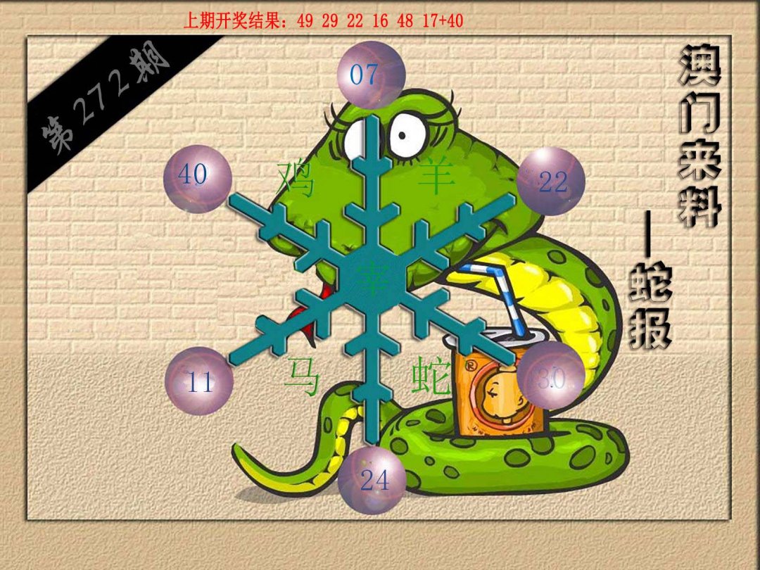 2024272期(来料)蛇报