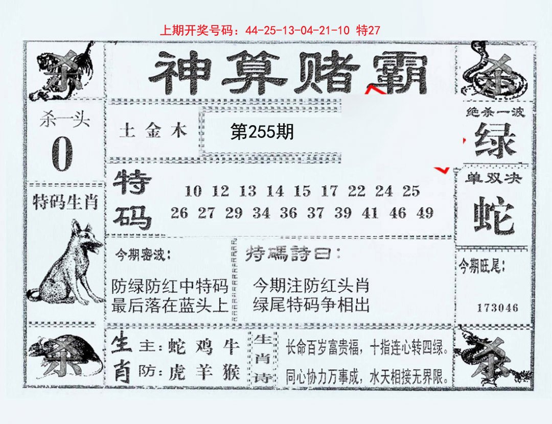 2024255期神算赌霸