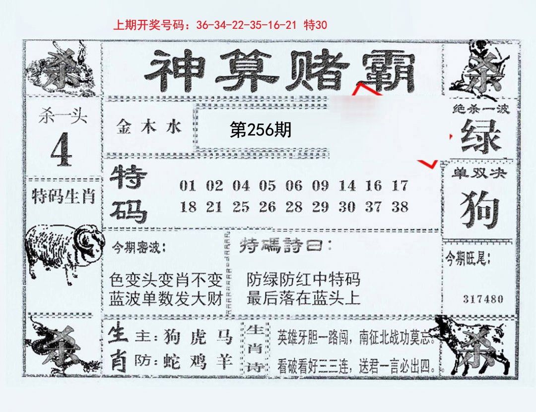 2024256期神算赌霸