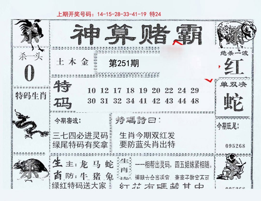 2024251期神算赌霸