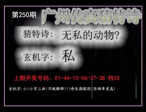2024250期广州传真猜特诗