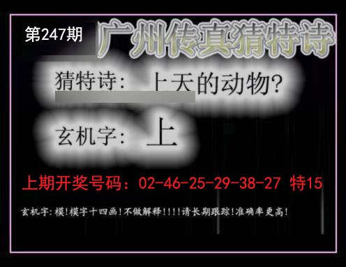 2024247期广州传真猜特诗