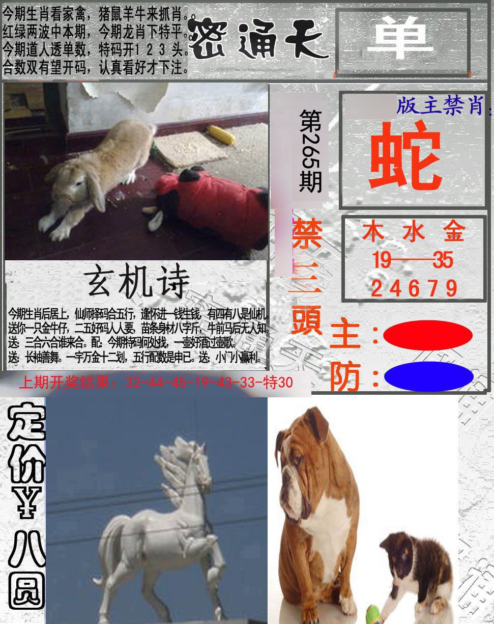 2024265期密通天