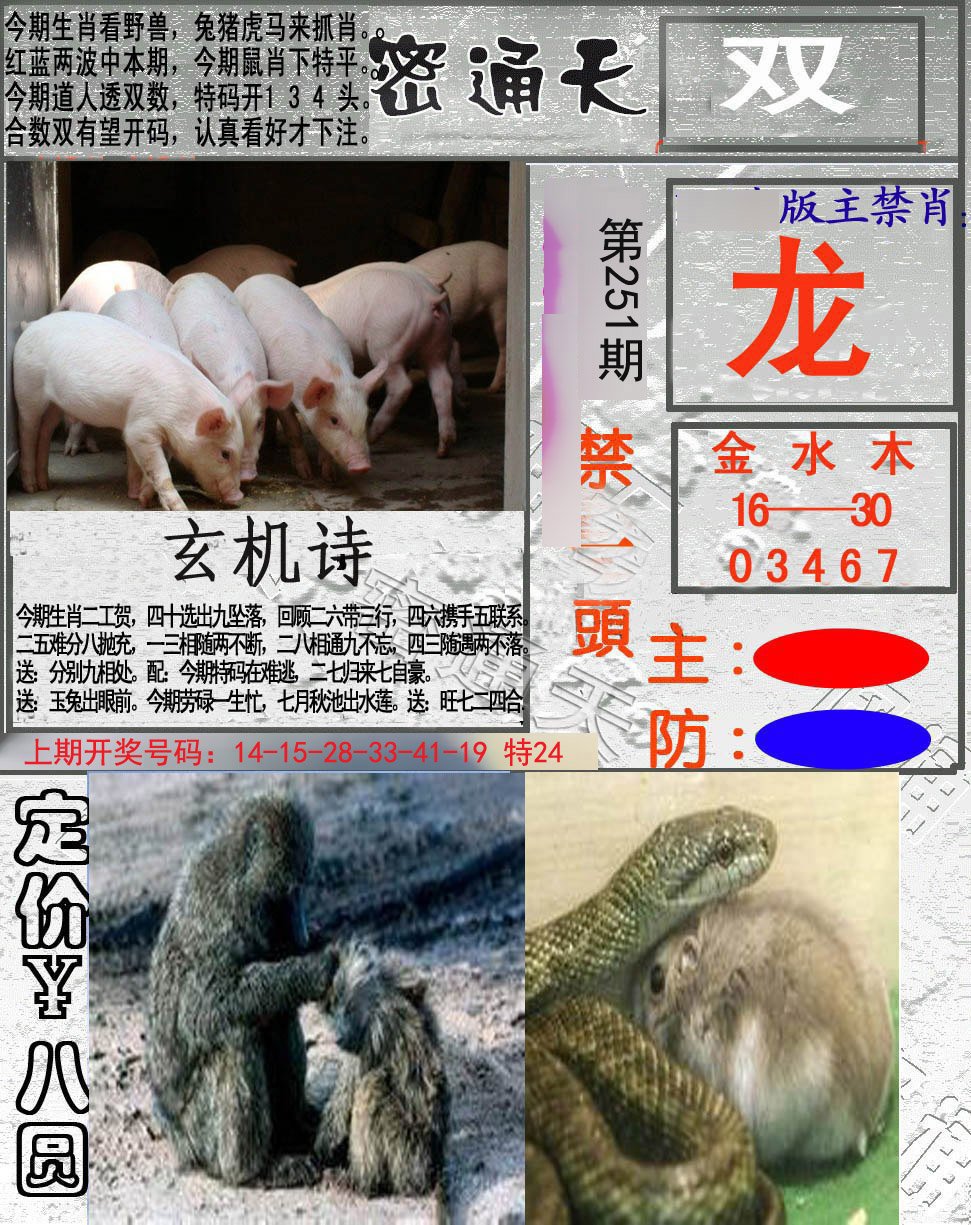 2024251期密通天