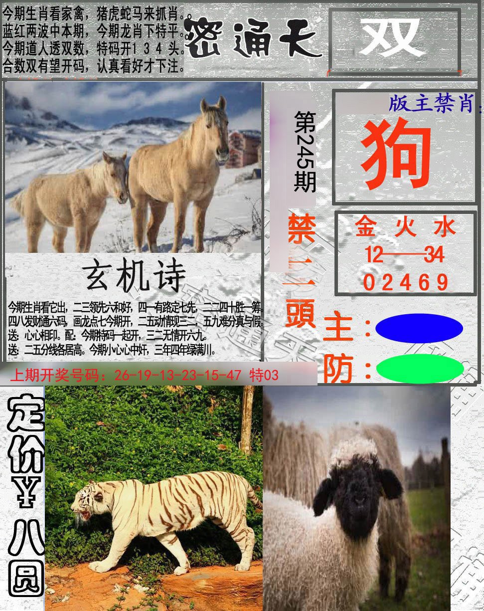 2024245期密通天