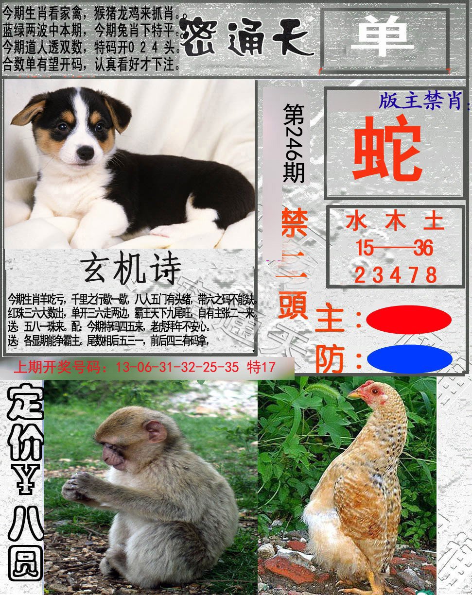 2024246期密通天