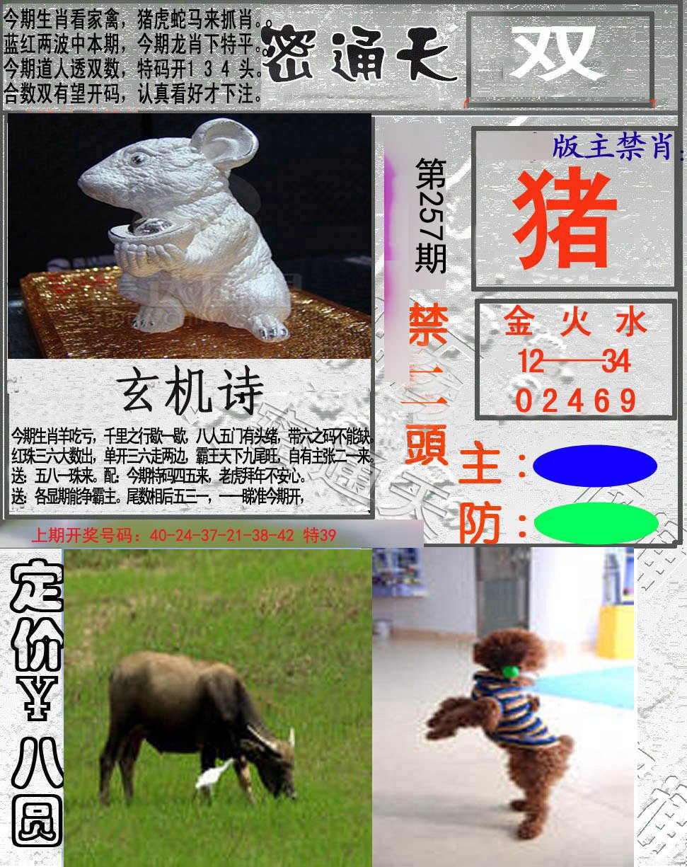 2024257期密通天