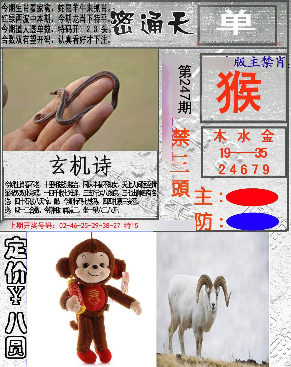 2024247期密通天