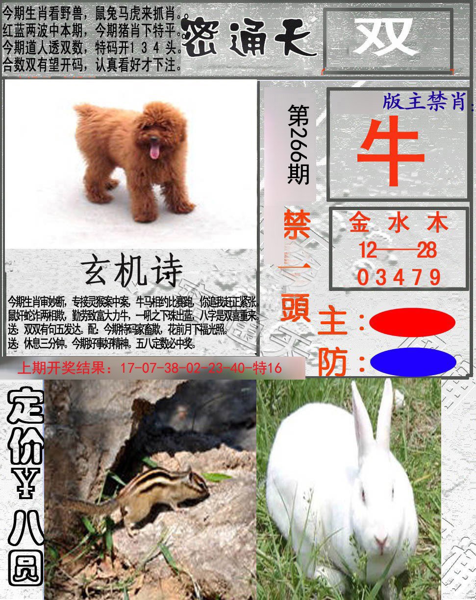 2024266期密通天