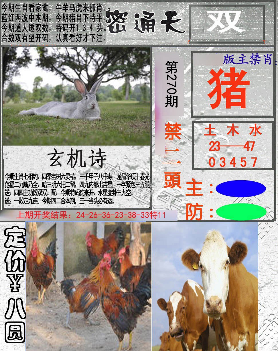 2024270期密通天