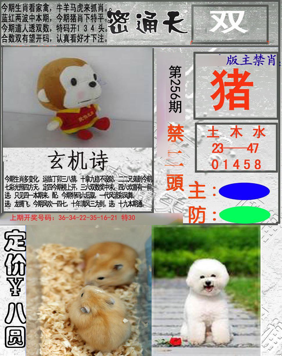 2024256期密通天