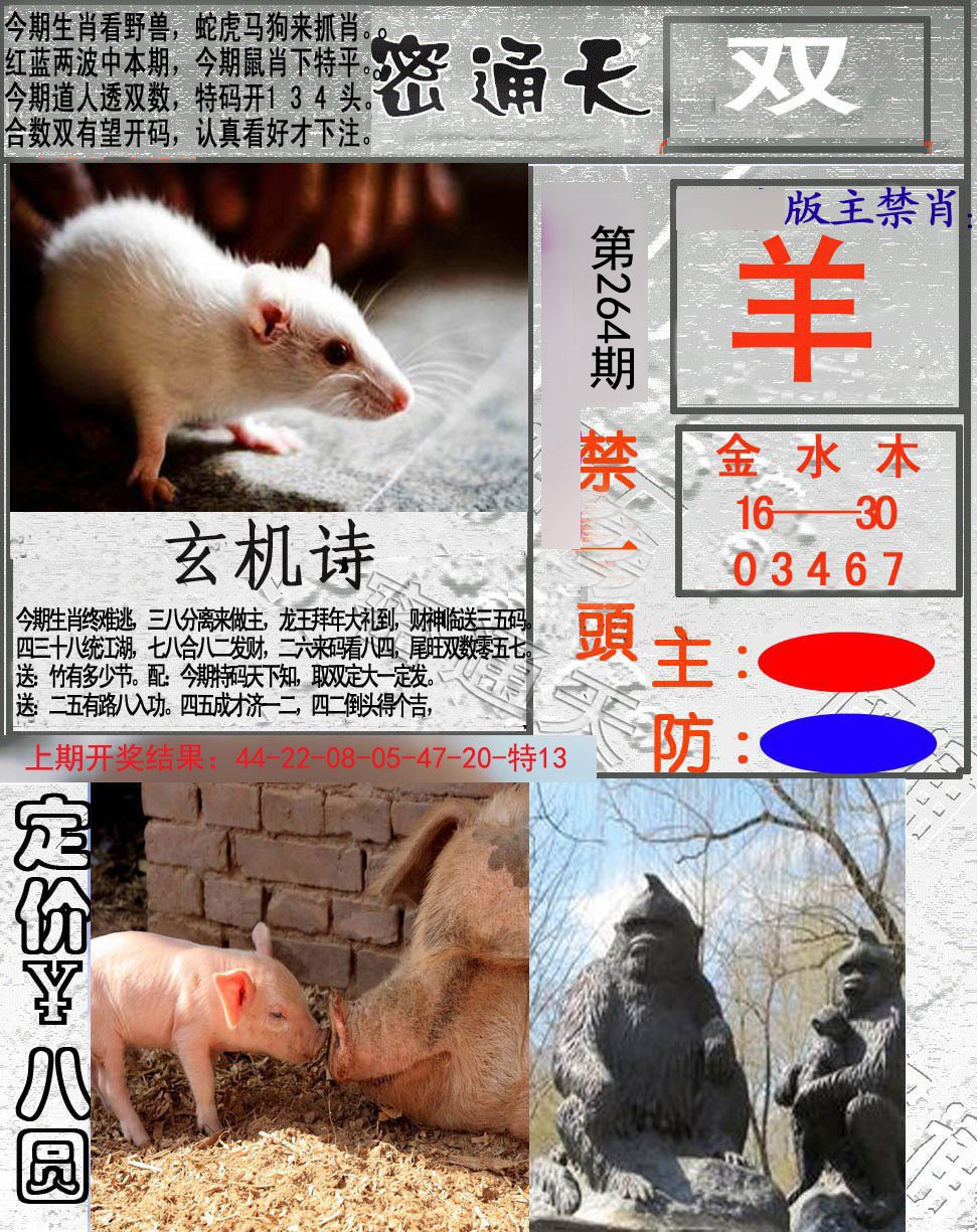 2024264期密通天