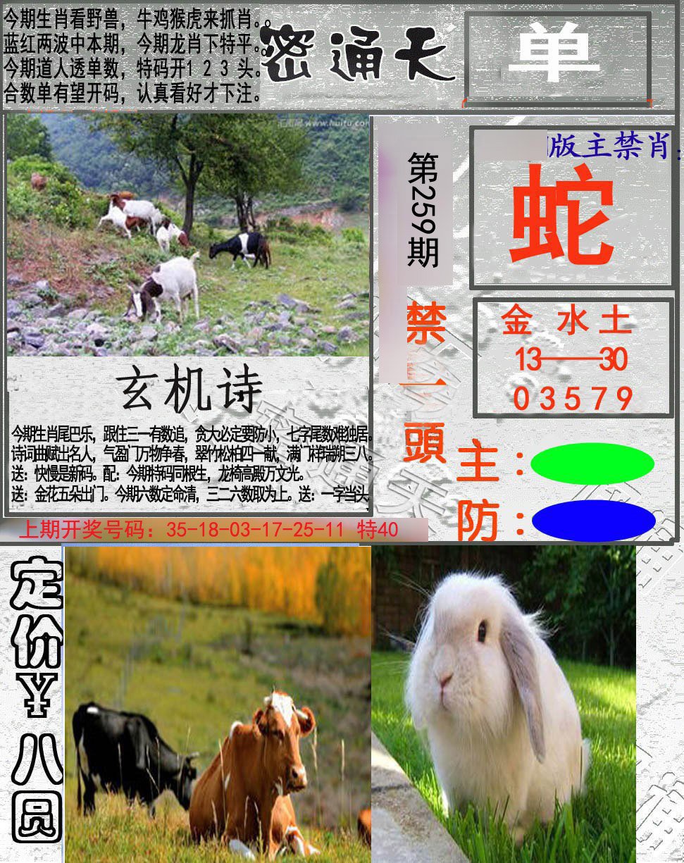 2024259期密通天