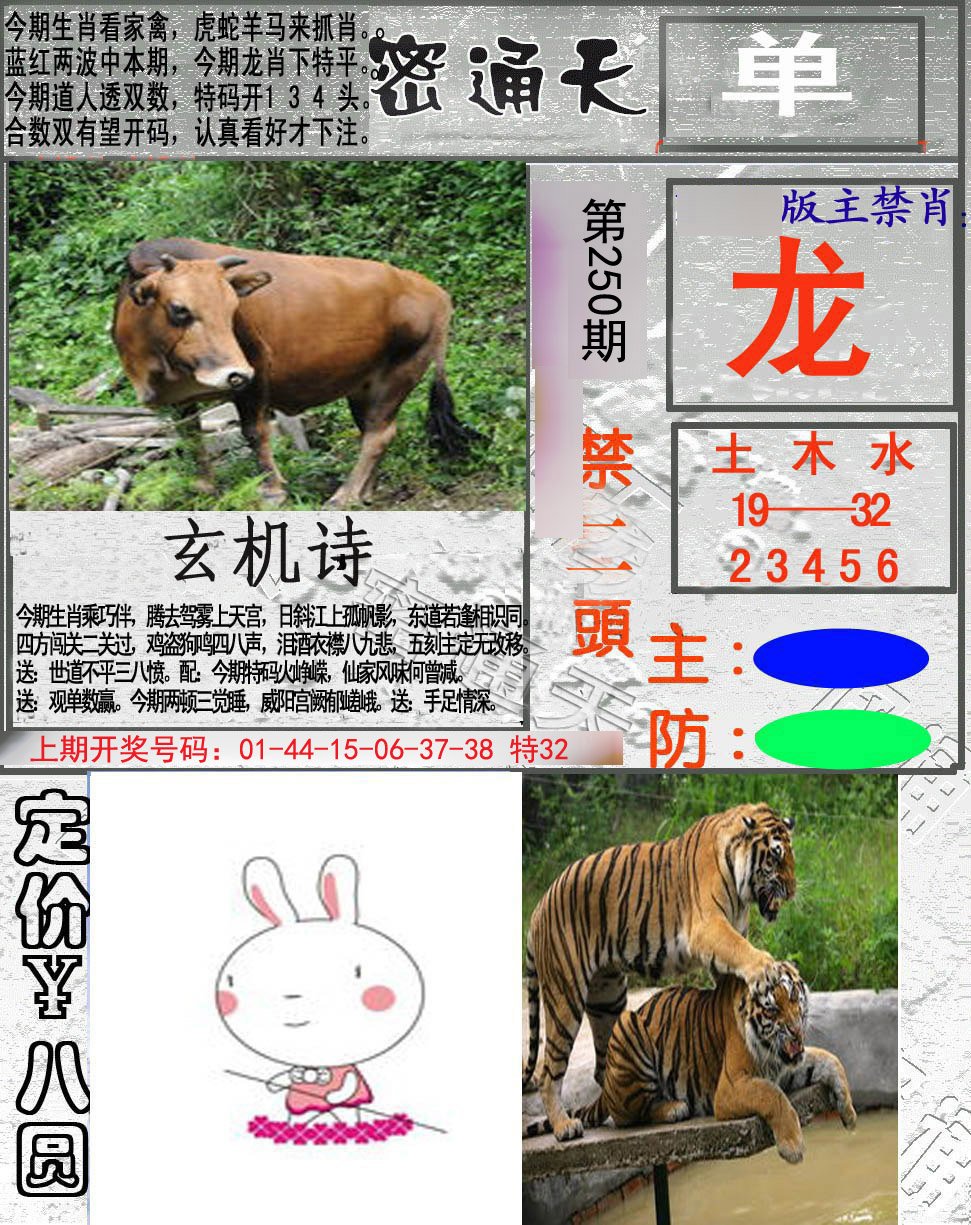2024250期密通天