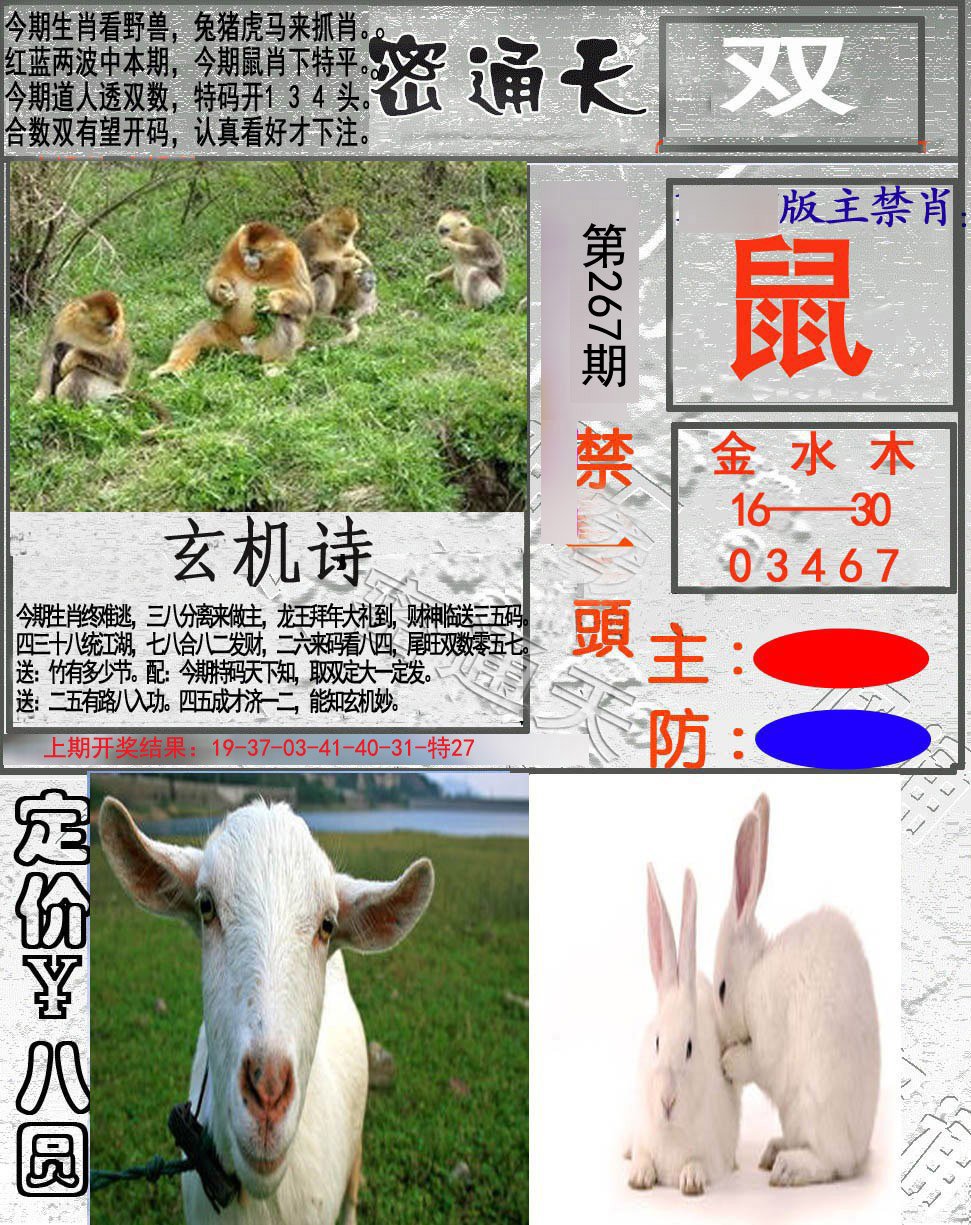 2024267期密通天