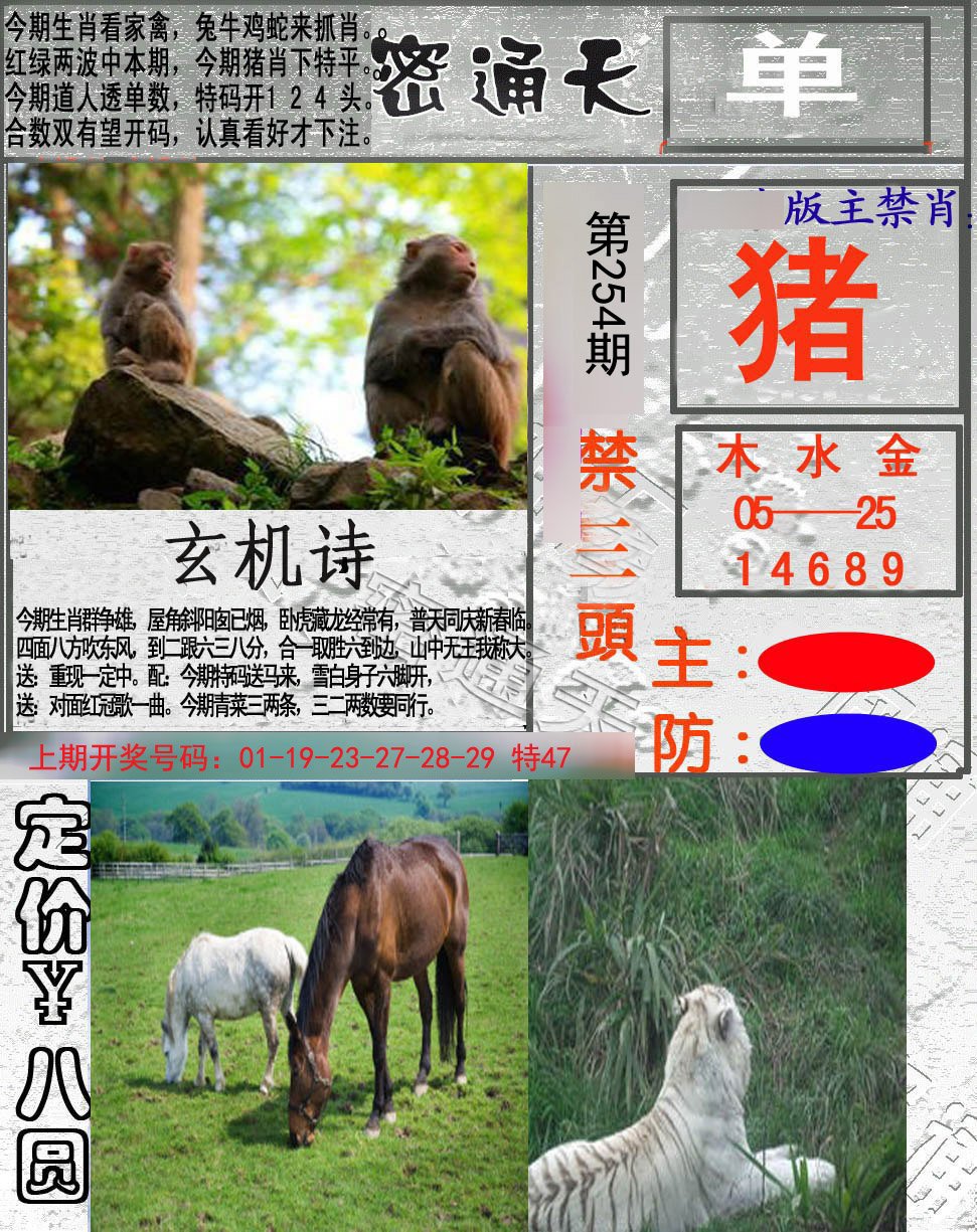 2024254期密通天