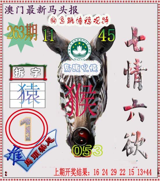 2024263期马头报