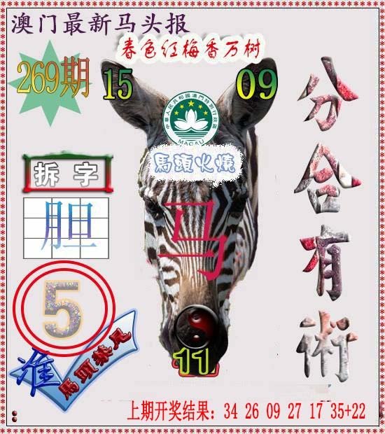 2024269期马头报