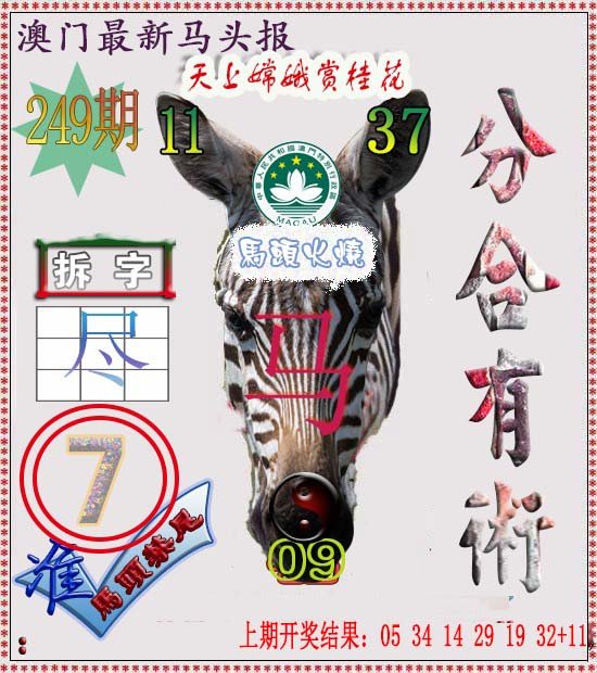 2024249期马头报
